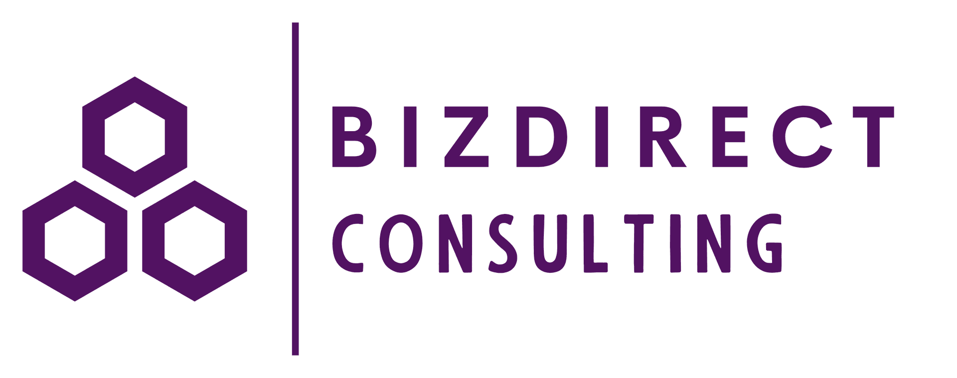 BIZDIRECT